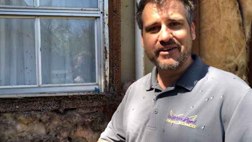 Termites Swarming On Exterminator