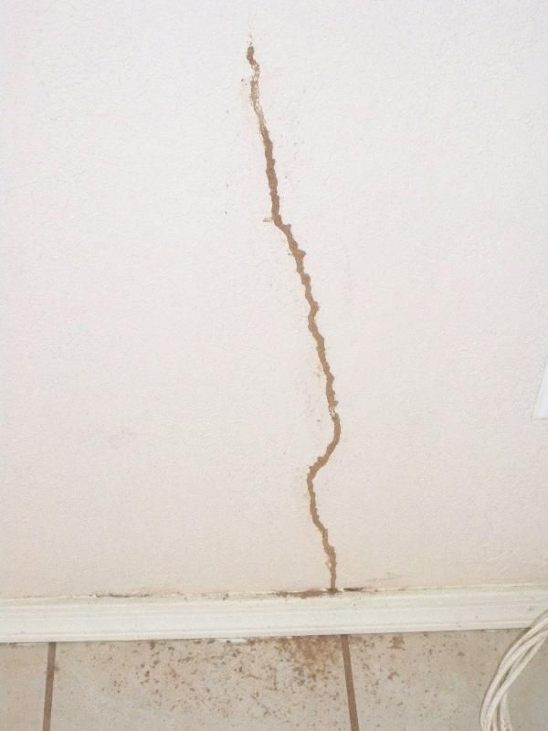 crack filled with mud or dirt